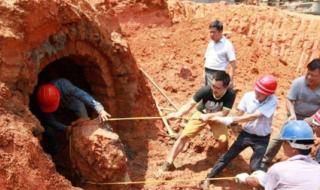 宰相刘罗锅荔浦芋头